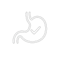 gut icon