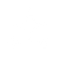 Healthy-looking skin icon